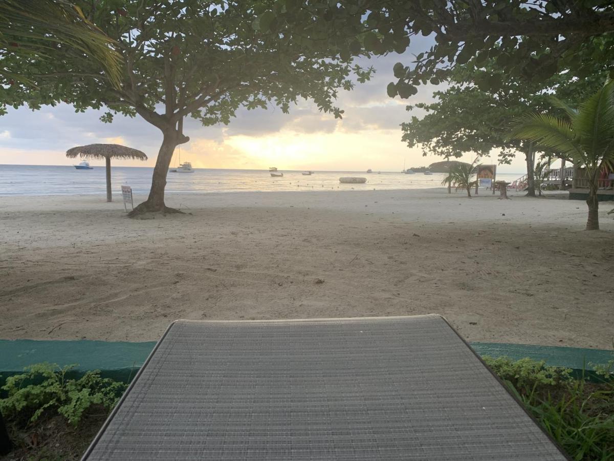 King Suite At Oceanview Resort In Jamaica - Enjoy 7 Miles Of White Sand Beach! نيغريل المظهر الخارجي الصورة